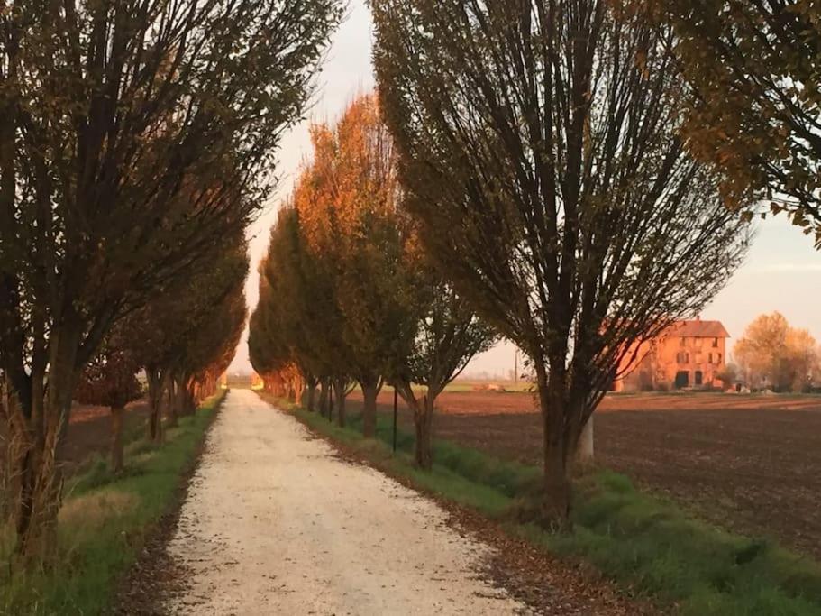 Вілла Casa Il Giuggiolo, Relax Nella Motor Valley Сант'Аґата-Болоньєзе Екстер'єр фото